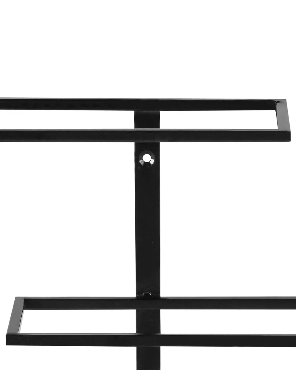 Wall Mounted Wine Rack EINSTEINIUM Metal Black_962660