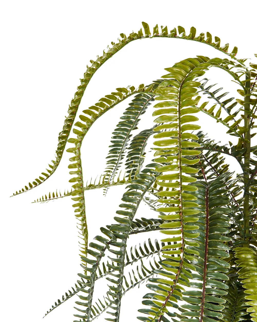 Artificial Plant FERN LEAF PLANT 105 cm Green_947610