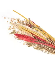 Trockenblumenstrauß PAMPELUNA 65 cm Naturfarben_835268
