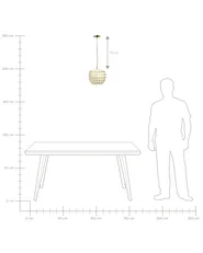 Pendant Lamp MASKELIYA Coconut Shell Beige_1003231