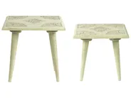 Set of 2 Side Tables BELIDHA Mango Wood Light Green_857049