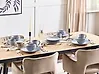 Dessertteller 4er Set JUNIPER Steinzeug Hellblau 21 cm