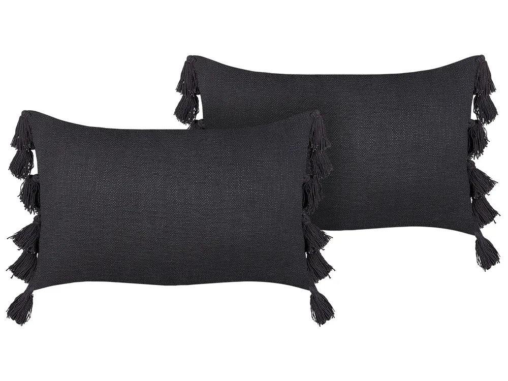 Lot de 2 coussins décoratifs LYTHRUM 35 x 55 cm Coton Gris foncé Unicolore