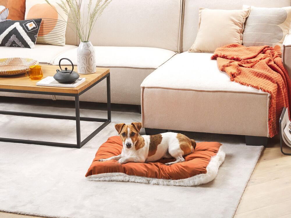 Pet Bed ERGANI Velvet Orange