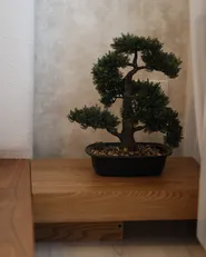 Kunstpflanze PINE 44 cm Grün_945747