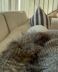 Kuscheldecke ASDAD Stoff 180 x 220 cm Braun_989708
