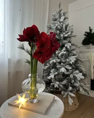 Artificial Snowy Christmas Tree LED TATLOW 180 cm Green_861769