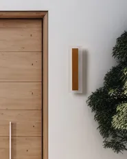 Outdoor LED Wall Light ROSALIE Gold_866538