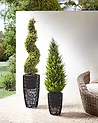 Set mit 2 Blumentöpfen CHELONE 26/34 cm Polyrattan Schwarz