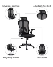 Office Chair ERGONOX Black_1071050