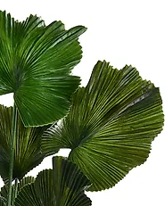 Umetna rastlina RUFFLED FAN PALM 98 cm Zelena_1185283