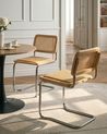 Esszimmerstuhl 2er Set CORDOVA Rattan Hellbraun