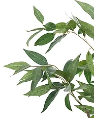 Umetna rastlina EUCALYPTUS TREE 128 cm Zelena_1185263