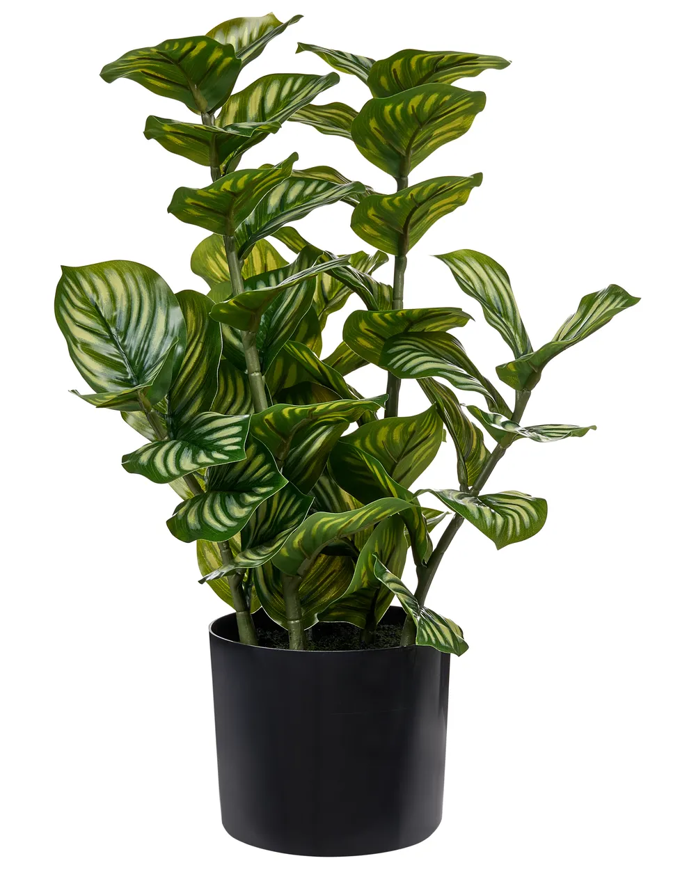 Kunstpflanze ORBIFOLIA 50 cm Grün