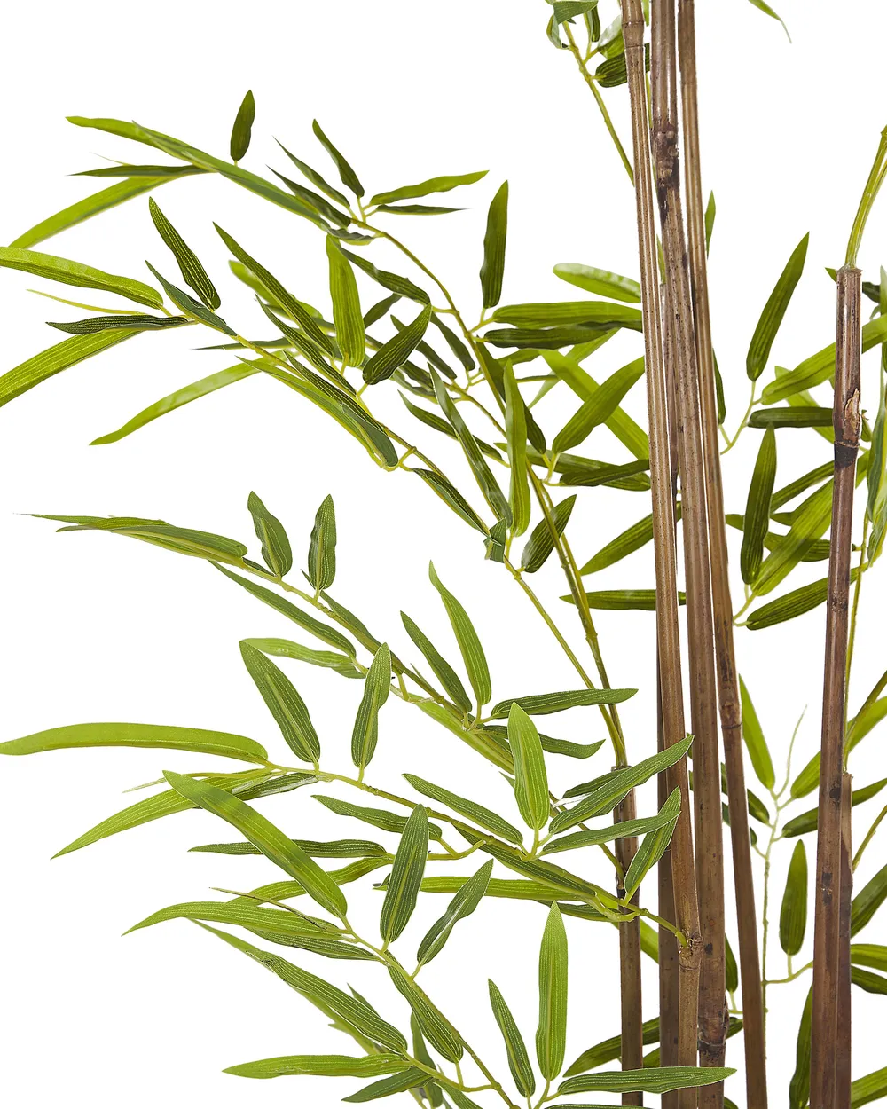 Kunstpflanze BAMBUSA VULGARIS 160 cm Grün_774413