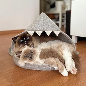 Für Tierliebhaber
