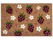 Doormat SHAININ Multicolour 50 x 80 cm Coir_1049677