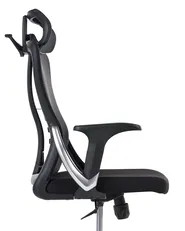 Bürostuhl ERGONOX Schwarz_1065528
