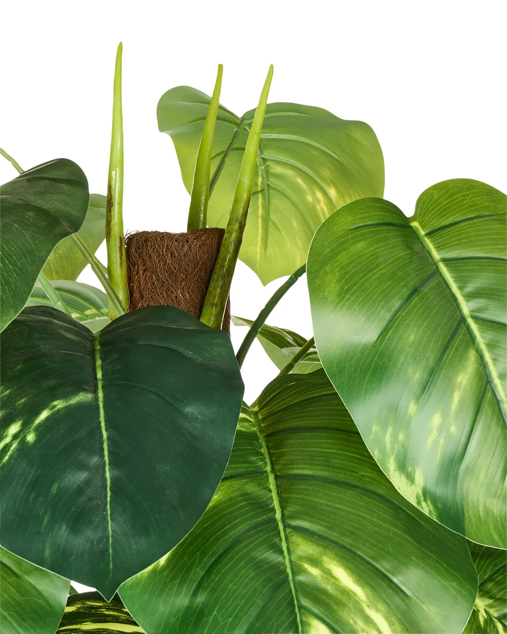 Kunstpflanze DIEFFENBACHIA 152 cm Grün_994014