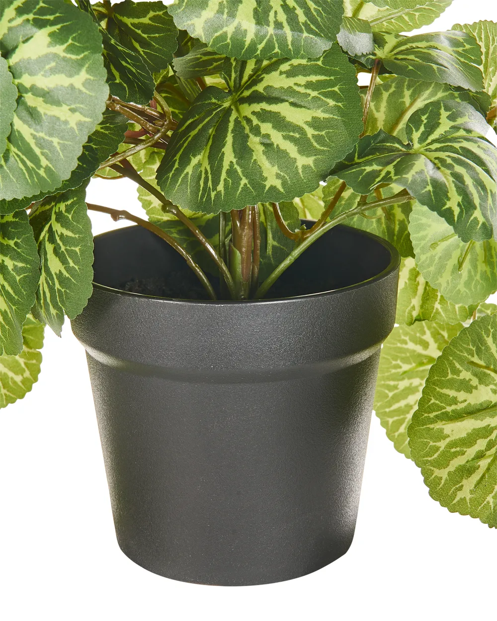 schwarze pflanztöpfe DBKD Outdoor Pflanztopf für Garten und Terrasse in Beige main image 1