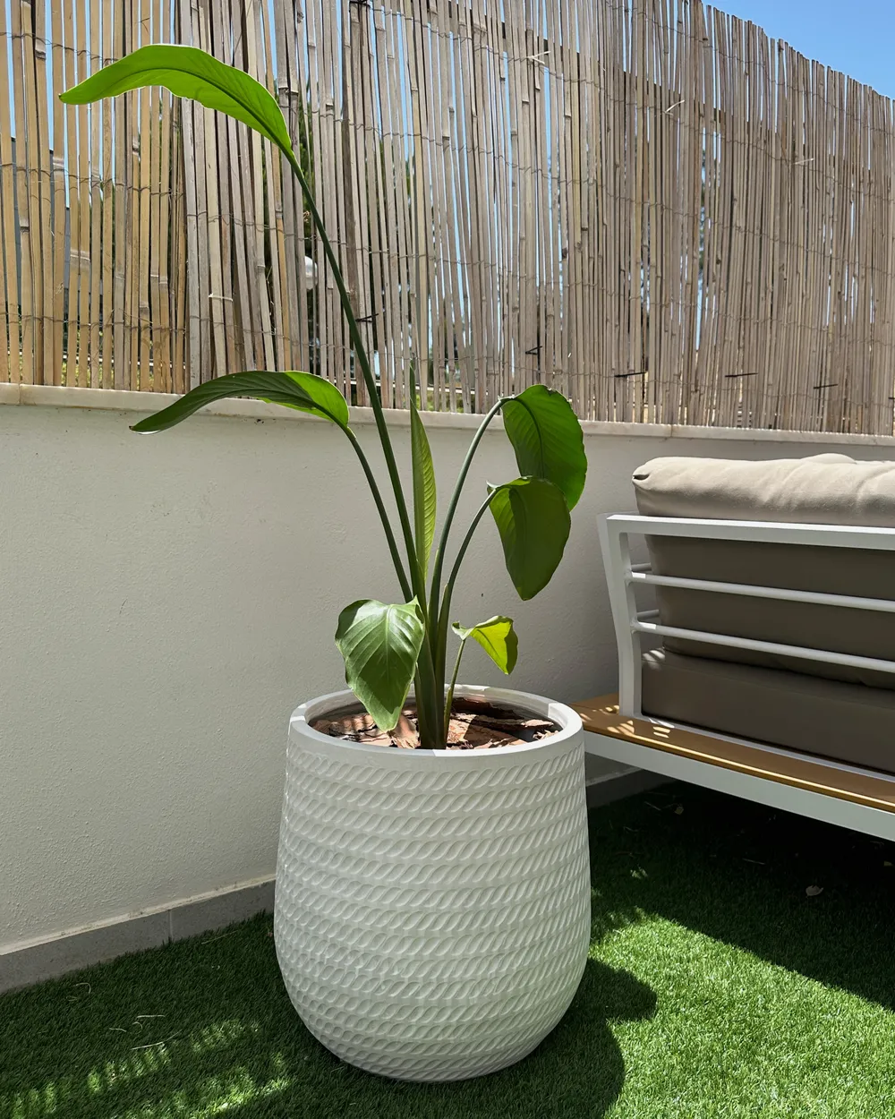 Blumenkübel LIVADIA 39 cm Cremeweiß_1005195