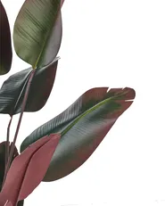 Kunstpflanze BANANA TREE 163 cm Grün_917267