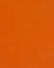 Garagenregal FIUGGI 150 cm 200 cm Metall Orange_1011187