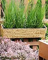 Plant Pot KAWALA 80 cm Sand Beige