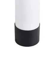 LED Pollerleuchte MANOL Schwarz_1103945