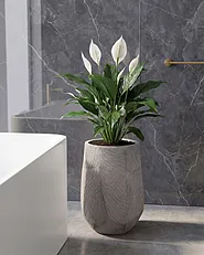Plant Pot ENSTAL 32 cm Grey_1161752