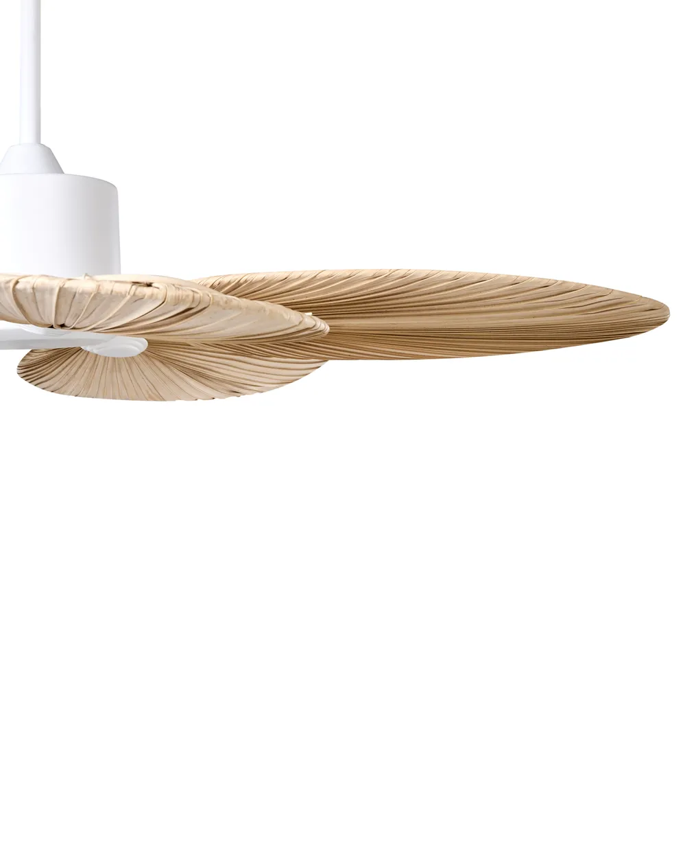 Ceiling Fan MAMMOTH Natural_1032275
