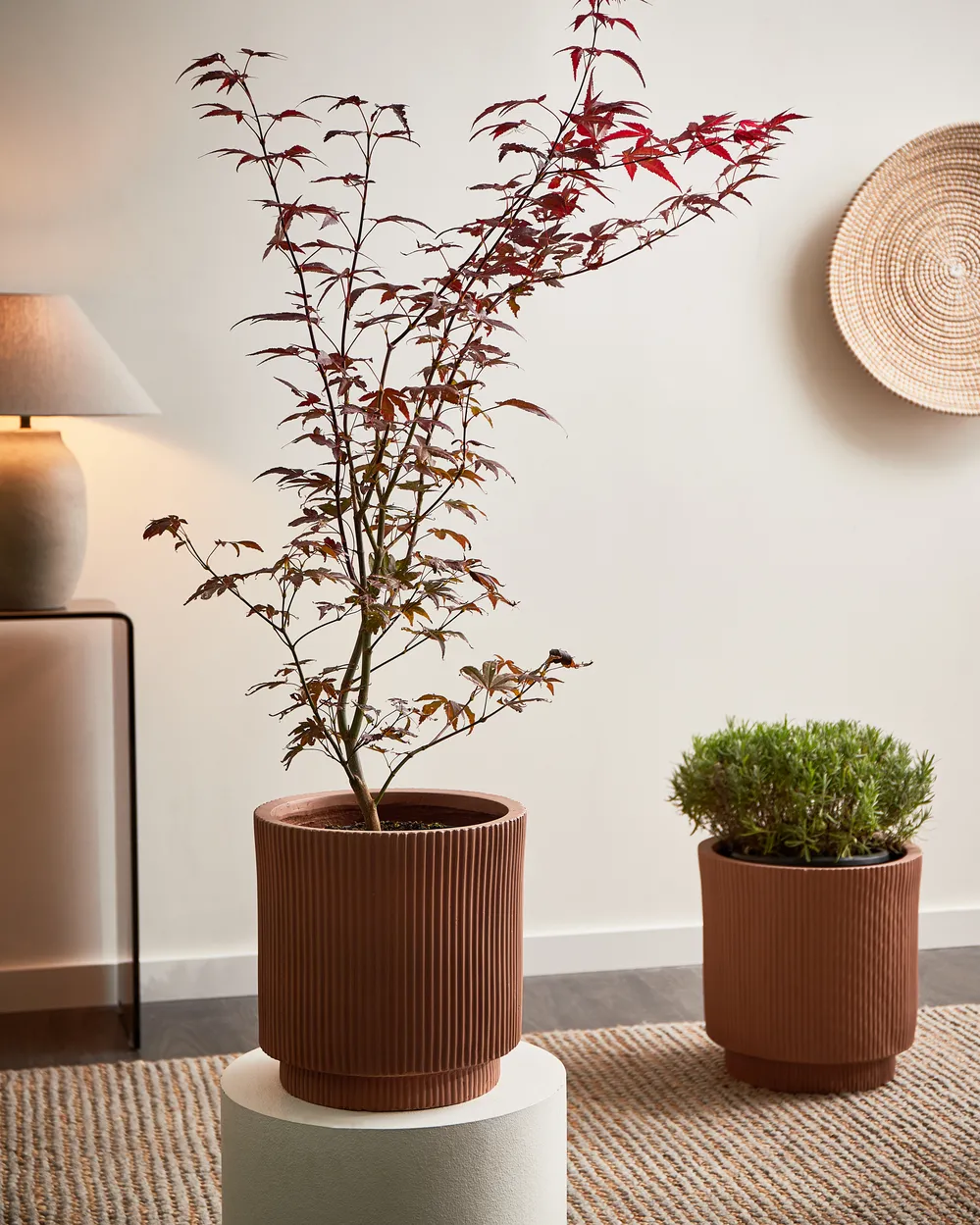 Blumenkübel DARIA 30 cm Braun