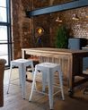 Set of 2 Bar Stools CABRILLO Metal White