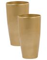 Set mit 2 Blumentöpfen TSERIA 32 cm Gold