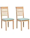 Esszimmerstuhl 2er Set ORTLEY Holz Hellbraun / Mintgrün