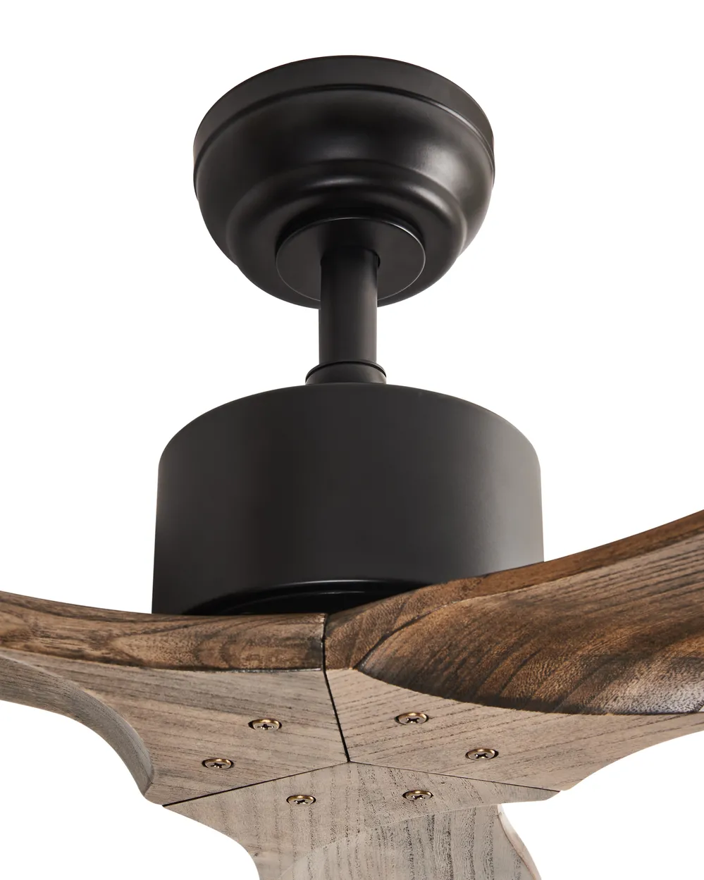 Ceiling Fan ARANI with Remote Brown_988685