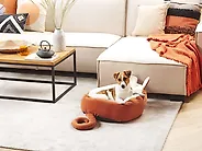 Tierbett HASSA Samtstoff Orange_1178831