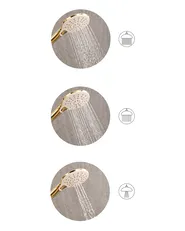Shower Head and Hose Kit IQUIRA 4-function Gold_1006441