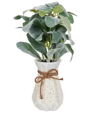 Kunstpflanze PEPEROMIA ARGYREIA 30 cm Grün_947222