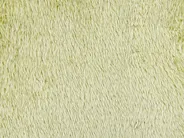 Dekokissen 2er Set PILEA 45 x 45 cm Webpelz Hellgrün Ohne Muster_839907