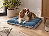 Tierbett ERGANI Samtstoff Blau