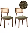 Esszimmerstuhl 2er Set EMBAR Holz Braun / Grün