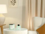 Scented Candle with Fragrance Reed Diffuser CLASSY TINT Soy Wax Fresh Notes_878563