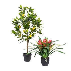 Plantes et fleurs artificielles