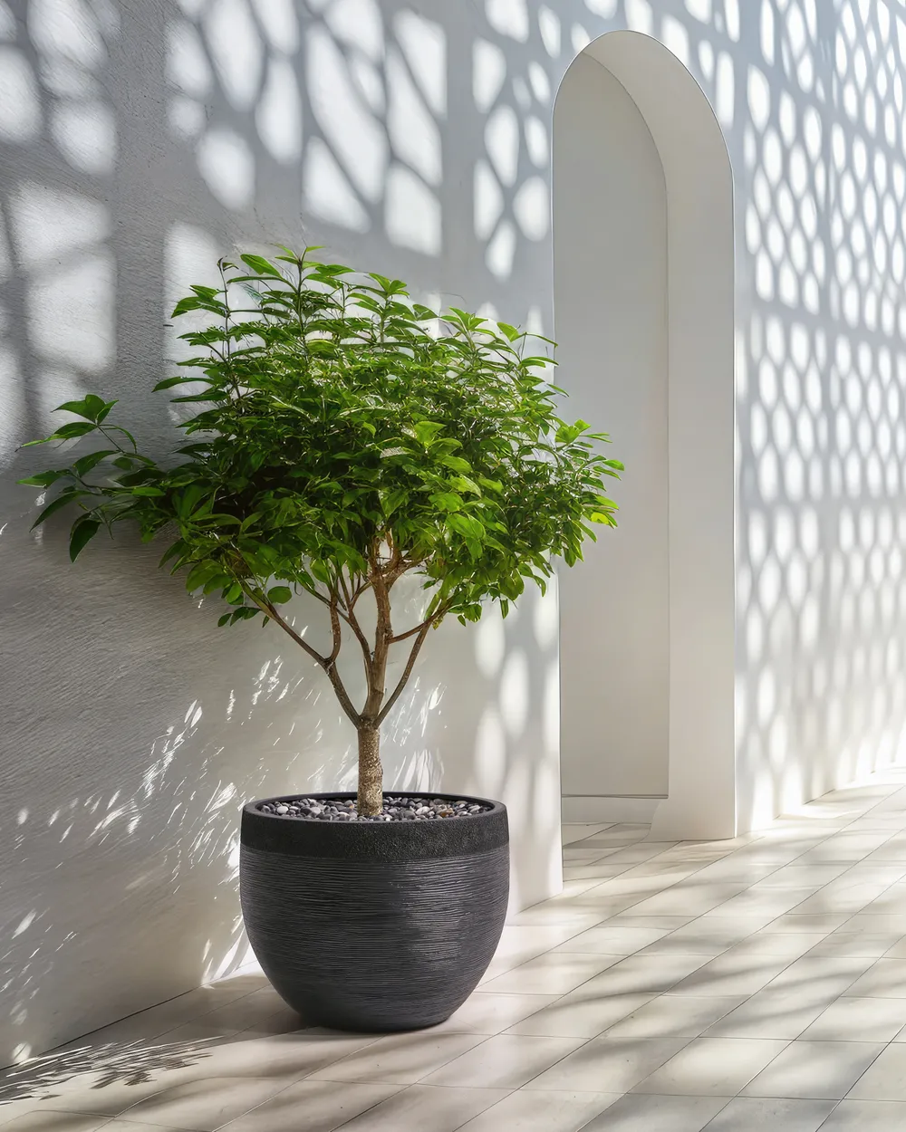 Blumenkübel ZAKROS 50 cm Schwarz