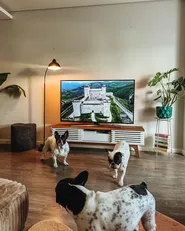 TV Stand DETROIT Brown/ White_1068159