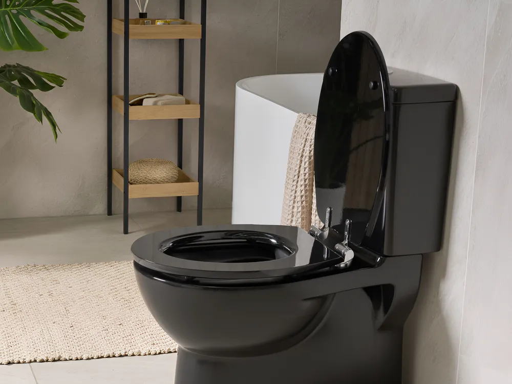 WC-Sitz INIRIDA Soft-Close-Funktion MDF-Platte Schwarz_1016448