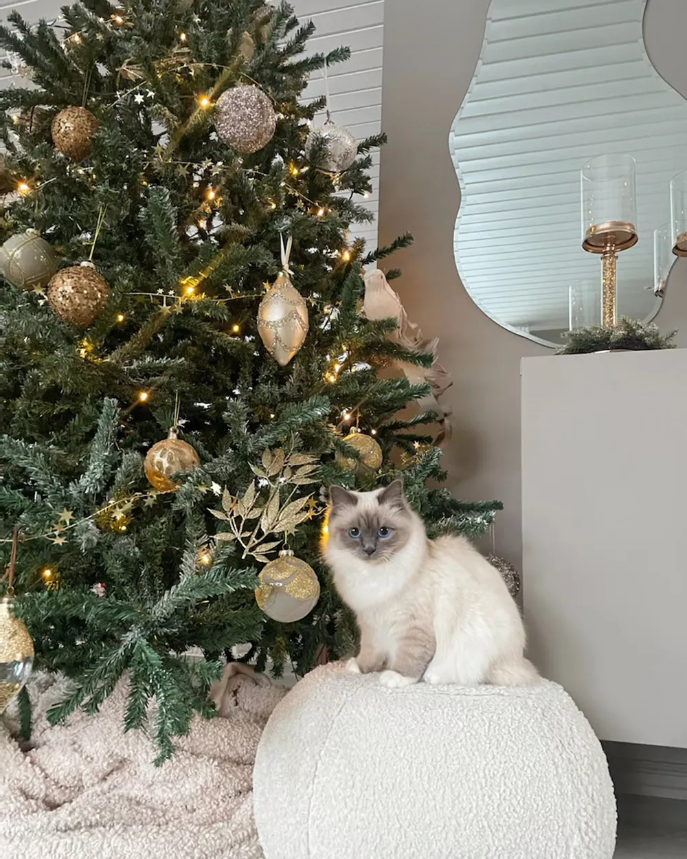 Künstlicher Weihnachtsbaum LED PALOMAR 180 cm Dunkelgrün_862776
