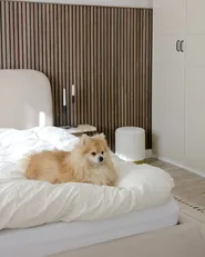 Bett mit Stauraum BLAGNAC Bouclé Hellbeige 180 x 200 cm_980364