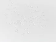 Bankauflage VIVARA 112 x 54 cm Cremeweiß_897713